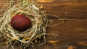 Na ovim mestima nikako ne treba da stoji: Evo gde treba držati čuvarkuću kako bi čuvala vaš dom do sledećeg Uskrsa