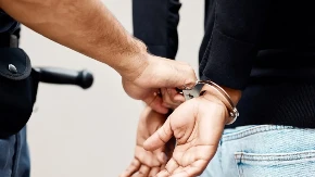 UHAPŠEN DALIBOR ĆULIBRK Osuđen na dve godine zatvora