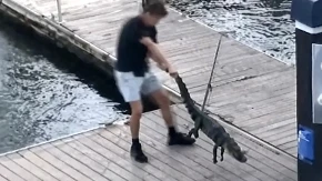 HOROR SCENA U SPORTSKOM CENTRU Dečak udarao aligatora – sve zabeležile kamere!