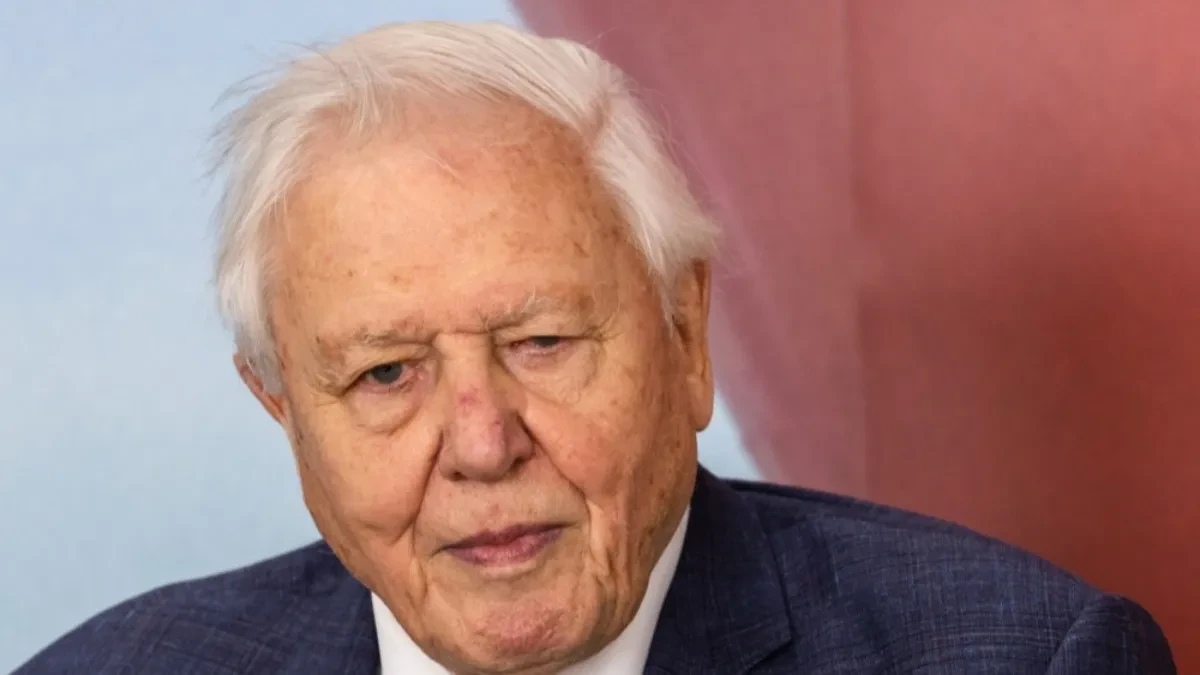 Slavni Dejvid Atenborou je proslavio 100. rođendan Ceo život je posvetio proučavanju prirode, a ovo je tajna njegove vitalnosti