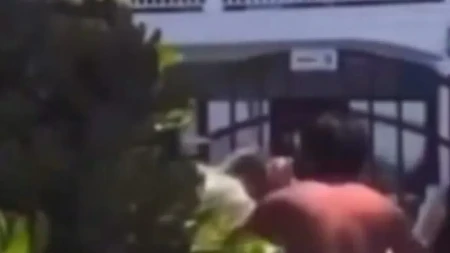 Žestoko pretučen bogataš koji je bacio kamen na foku! Batinaš postao heroj i dobio priznanje Vlade! (video)