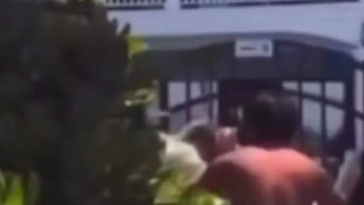 Žestoko pretučen bogataš koji je bacio kamen na foku! Batinaš postao heroj i dobio priznanje Vlade! (video)