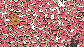 Internet poludeo zbog ove mozgalice: Možete li pronaći svih 5 "uljeza" među lubenicama?