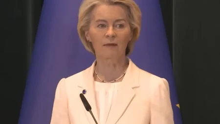 Sama sebi pravi problem: Gde greši Ursula fon der Lajen?