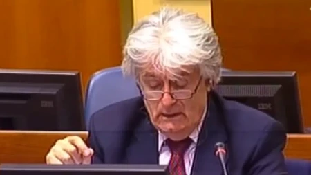„Pet godina ga niko nije video“: odbrana traži hitno prebacivanje Karadžića
