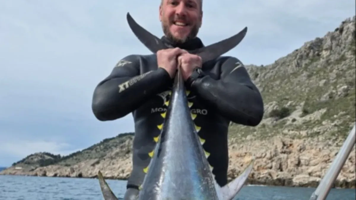 Jadran izbacio pravog morskog monstruma: Grdosija od 82 kilograma šokirala i iskusnog ribolovca!