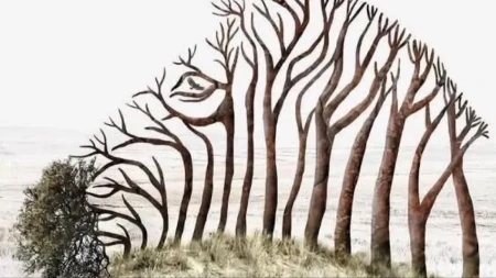 Psihološka iluzija koja je zapalila mreže: Zebra ili drveće - odgovor otkriva više nego što mislite!