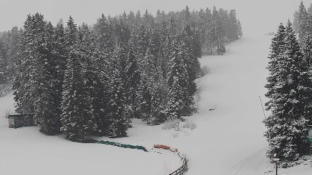 Sneg i jedan stepen usred maja! Neverovatno vreme u Srbiji, evo gde se zabelelo