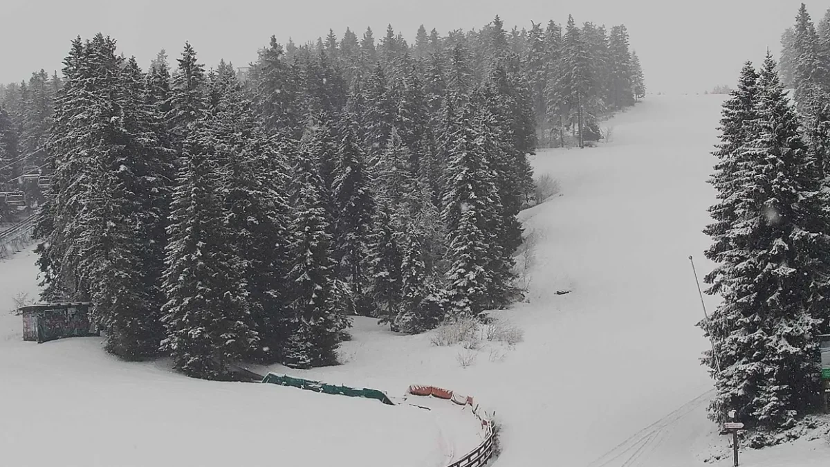 Sneg i jedan stepen usred maja! Neverovatno vreme u Srbiji, evo gde se zabelelo