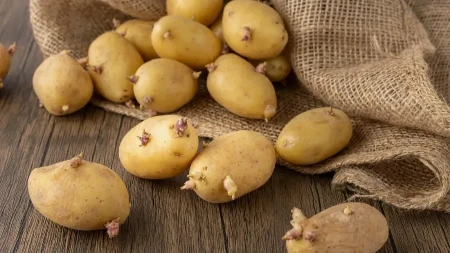Krompir ovih dana ima čudan ukus? Stručnjak objašnjava na šta paziti prilikom kupovine