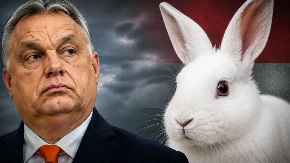 Orban posle izborne katastrofe: "Mi smo tigrovi, nismo zečevi!"
