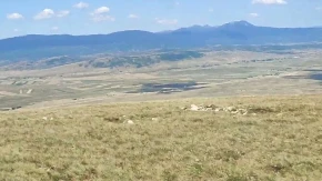 Srbi su ludi za ovom planinom! Pogledajte za koliko se prodaje 10 ari "raja"