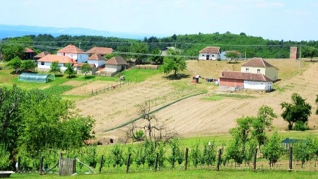 Srbija zarađuje milijardu i po evra samo od jedne grane, hrane ima dovoljno 