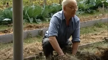 20 godina ne okopava i ne đubri baštu, a iz leja izvadi do 2 tone krompira, more paradajza i paprika: Način sadnje obožavaju lenji baštovani i pravi je hit