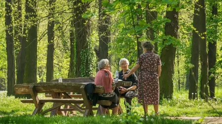 Fond PIO beleži istorijski rezultat - rast prihoda i stabilne penzije