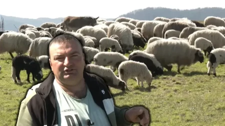 Priča samohranog oca iz sela kod Banjaluke: Od ovčarstva školuje decu i čuva porodično ognjište (FOTO/VIDEO)