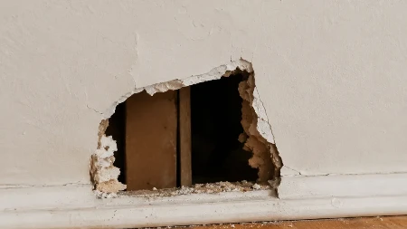Uselio se u staru kuću i čuo zapomaganje iz zida: Kad je video šta je unutra, umalo se srušio od šoka