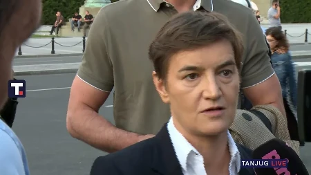 "Građani slave pobedu nad obojenom revolucijom" Brnabić se obraća iz Pionirskog parka: Skup podrške predsedniku Vučiću
