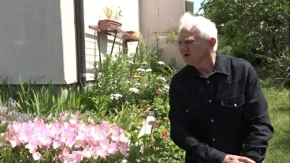 Zoran iz Bariča zakopao nekoliko semenki iz radoznalosti: Danas mu u dvorištu raste prava egzotika