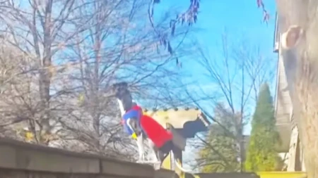  Pas "superheroj" izveo neverovatan skok: Ljudi u neverici gledaju video