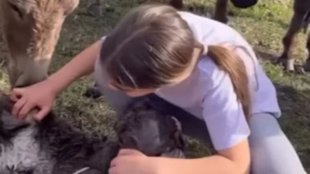 ''Ovo su prave vrednosti!'' Mala Anđelija pomogla pri porođaju magareta i oduševila internet