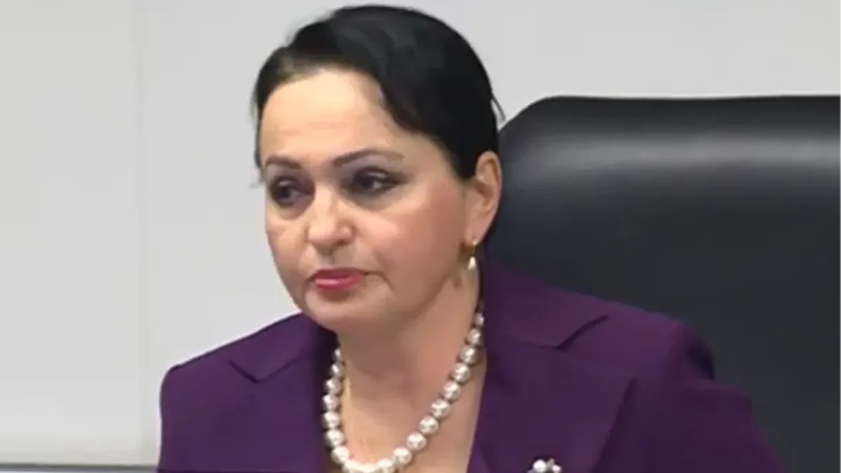 "Jednog odvežite, drugom vratite telefon": Prepiska Željke Jovović i Vesne Medenice