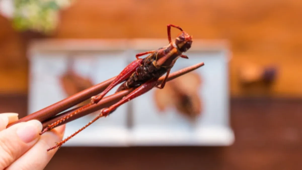 Majko mila, da li je ovo moguće?! Umesto čipsa, davala detetu pržene insekte - reakcija devojčice šokirala internet
