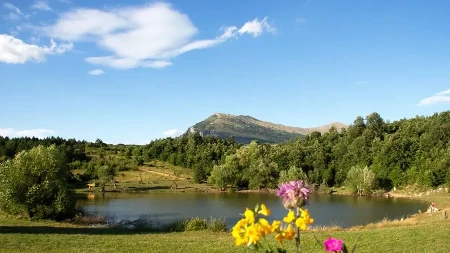 Doživite Srbiju na najlepšim jezerima: Top lista koju morate ispoštovati ovog leta!