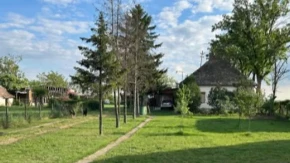Salaš iz snova kod Bečeja prodaje se za 24.000 evra: Kuća ima 227 kvadrata, plac je ogroman