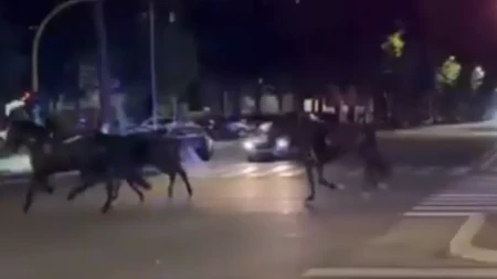 Haos na ulicama Rima: 30 konja trčalo glavnim gradskim ulicama, vozači trljali oči u neverici