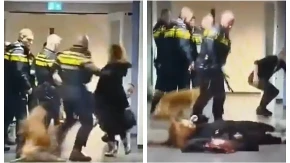 Policija u EU brutalno baca i vuče trudnicu na zemlji: Doživela tešku traumu, porodila se prevremeno