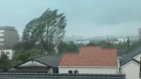 Krenula oluja, vetar već kida stabla po komšiluku! Srbija da se spremi! 