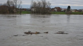 Užas u Savi: Pronađeno telo u fazi raspadanja