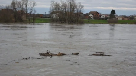 Užas u Savi: Pronađeno telo u fazi raspadanja