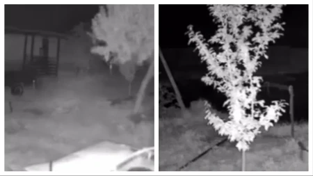 Jezivi snimak zemljotresa u Somboru: Psi su zalajali, a onda je počelo da se trese tlo!