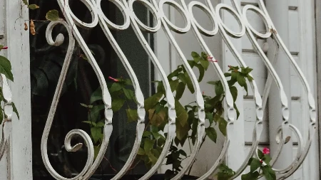 Znate li zašto su rešetke na prozorima zakrivljene? Nema veze sa lopovima - razlog je genijalan