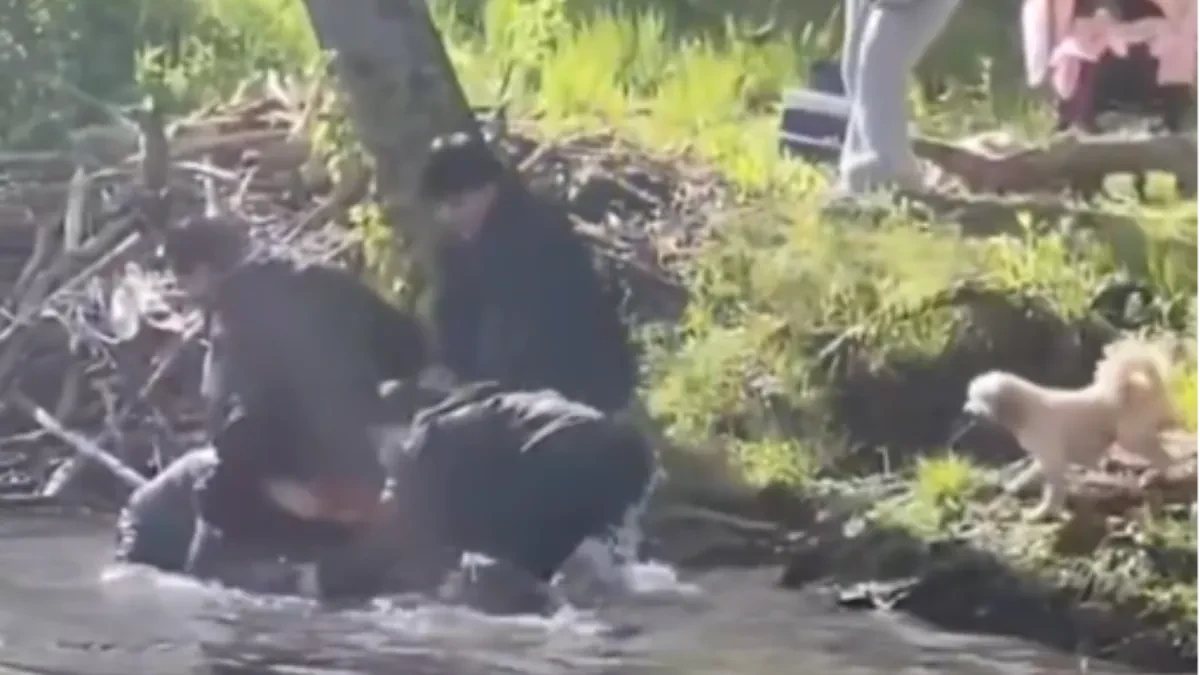 Uznemirujući snimak: Životinja zaražena besnilom grize osmogodišnjeg dečaka, porodica doživela šok! (VIDEO)