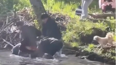 Uznemirujući snimak: Životinja zaražena besnilom grize osmogodišnjeg dečaka, porodica doživela šok! (VIDEO)