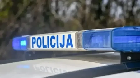 Vozač iz BiH izazvao sudar: Poginuli muškarac i pas, detalji stravične nesreće