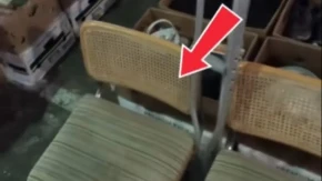 Neverovatan ulov na buvljaku u Novom Sadu: Platio stare stolice 130 evra, pa otkrio da vrede bogatstvo!