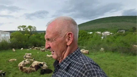 Zaradio je penziju u Nemačkoj - sad čuva ovce i koze u rodnoj Hercegovini 