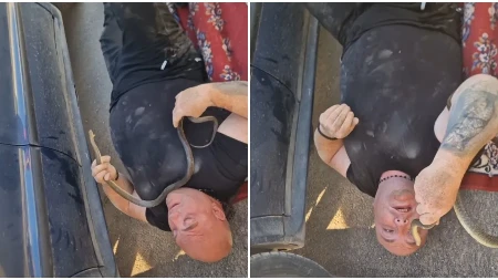 Drama na Đurđevdan! Zatečen strašan prizor u "mercedesu", poznati zmijolovac učinio nešto što bi mnogima sledilo krv u žilama! (VIDEO)