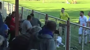 Skandal na meču Crvene zvezde: Navijač udario šamar igraču (VIDEO)