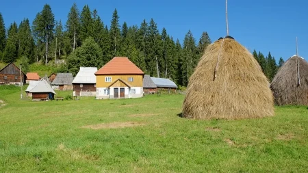 Besplatna kuća i posao u selu sa 40 stanovnika: Stiglo više od 100 prijava, ali postoji jedan važan uslov