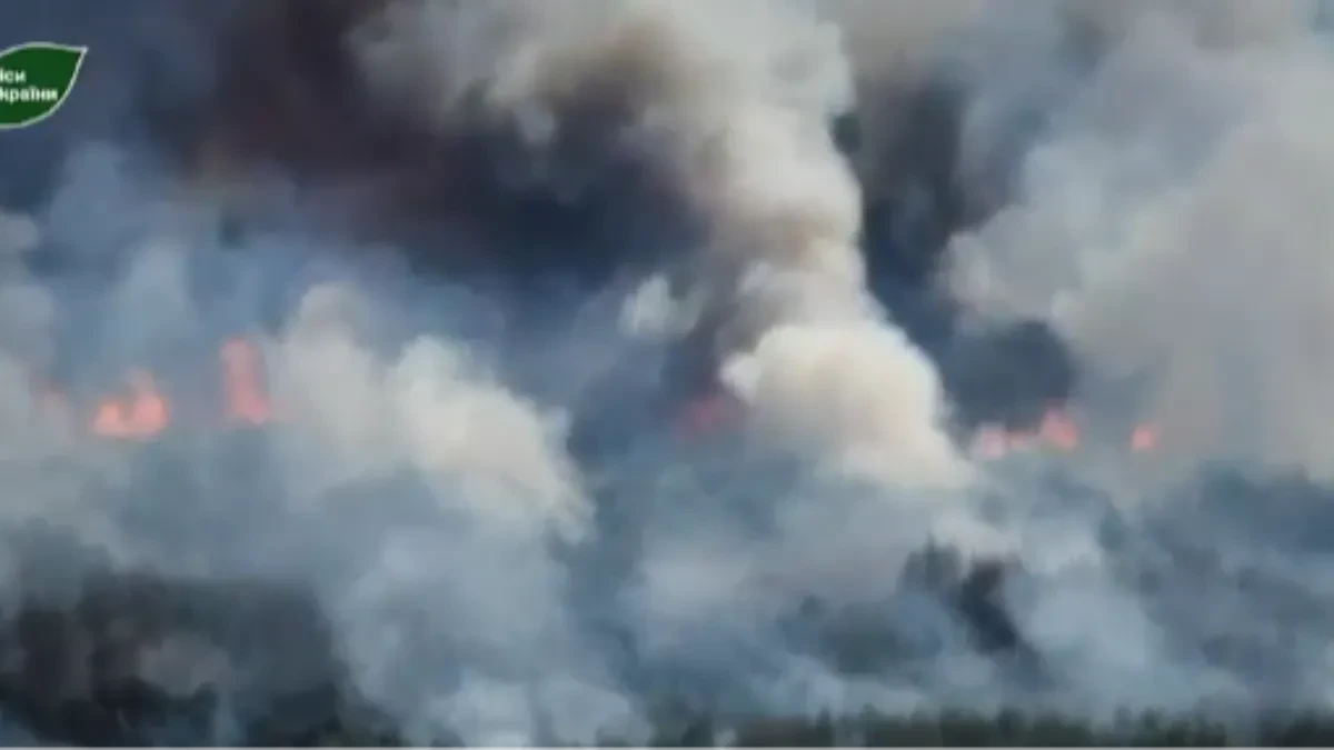 Gori Ukrajina! Vatra se nekontrolisano širi ka ruskoj granici (VIDEO)