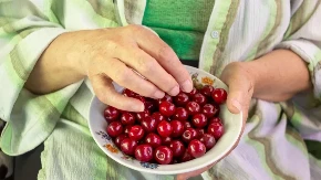 Kupili ste trešnje - dovoljan je i minut da otkrijete da li su pune crva