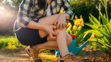 Komarci nose novu pretnju: Smrtonosni virus mogao bi da stigne do miliona ljudi 