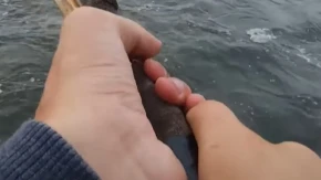 ''Tu je, vuci, vuci!'' Srbin pomoću genijalne fore izvukao g
