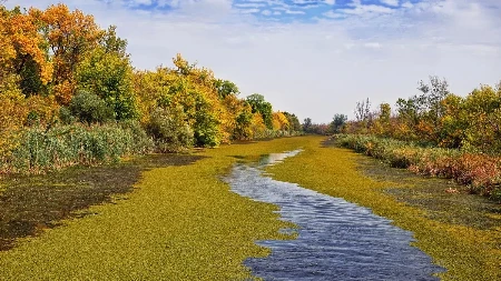 Na samo sat vremena vožnje od Beograda krije se priroda kao iz bajke: Čarobna oaza mami uzdahe mnogih turista!