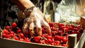 Trešnje poskupele, lubenica pojeftinila - pijace u Srbiji beleže nagle promene cena